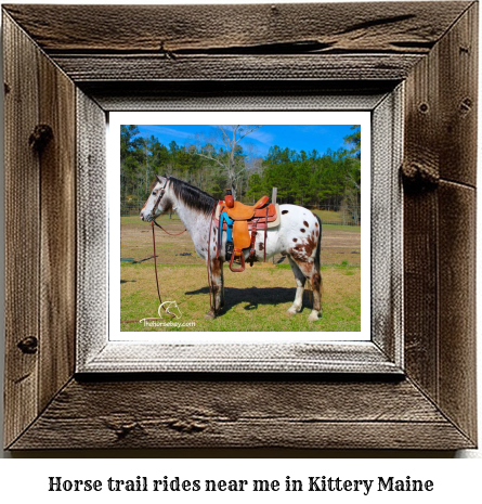 horse trail rides near me in Kittery, Maine